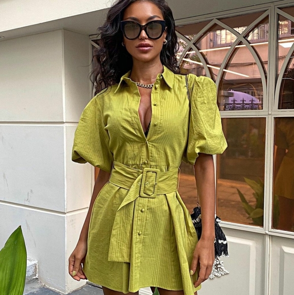 ZARA | Voluminous Sleeve Belted Dress Pistachio - Picture 9 of 16